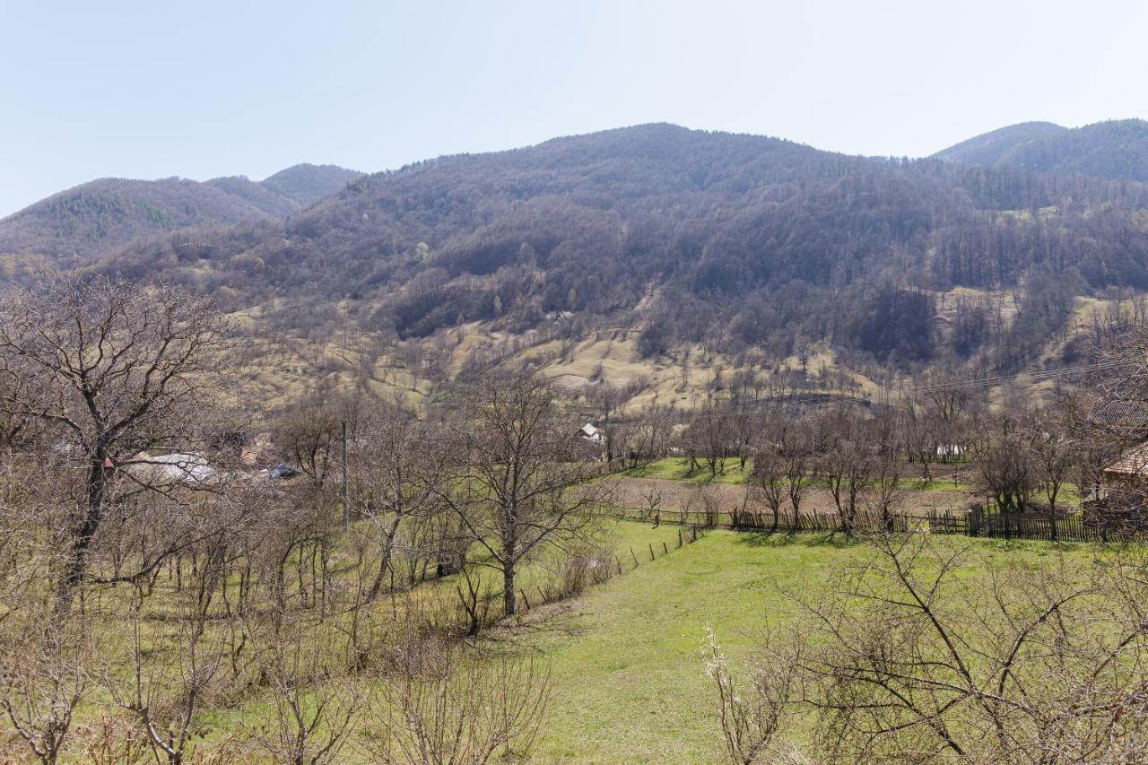 Nook Of Nature Basca Rozilei Extérieur photo